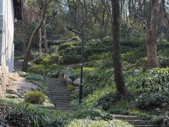 -中国茶叶博物馆(双峰馆区)