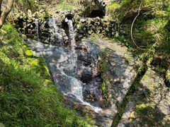 -宁波市保国寺古建筑博物馆