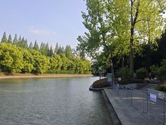 -嘉定紫藤园