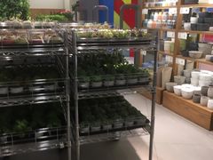 -鹿岛会员店 (龙湖三千集天街店)