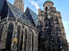 -斯蒂芬主教座堂(Stephansdom)