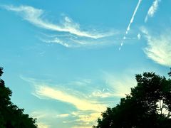 -梁鸿国家湿地公园