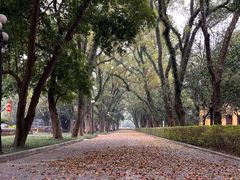 -桂林独秀峰王城景区