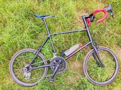 -白鹭湾湿地公园