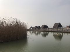 -滆湖低碳生态公园