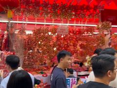 -越秀西湖花市(广州城市广场花卉店)