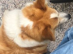 -肥朵食堂(带梦胡同店)