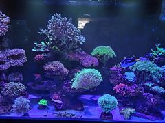 -海合安成都极地海洋公园