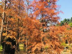 -广州市白云山风景名胜区