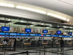 -约翰·菲茨杰拉德·肯尼迪国际机场