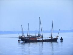 -贡湖湾湿地公园