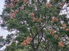 -苏州河梦清园环保主题公园