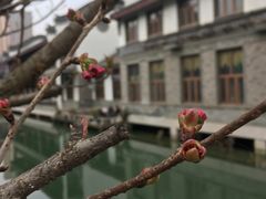 -龙潭水乡