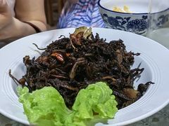 鸡油纵-蜗牛小馆醉乡民谣云南菜(惠新西里店)