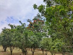 -中国移动南方基地