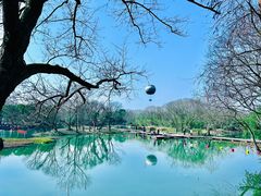 -西溪国家湿地公园