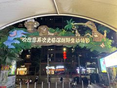 -深圳野生动物园