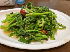 炝炒白油菜-永乐饭店