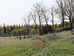 -滆湖低碳生态公园