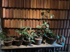 -花迹(富春江东街店)