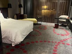 -南京禄口机场雅高铂尔曼大酒店