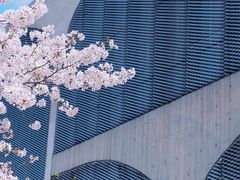 -龙美术馆(西岸馆)
