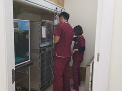 -美联众合动物医院·24h京西诊疗中心