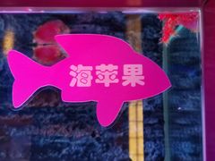 -秦皇岛新澳海底世界