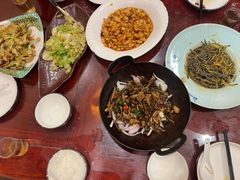 -邵年鸽(杨庄店)