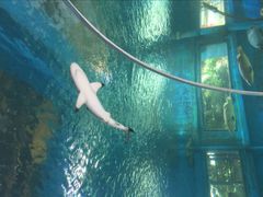 -北国之春国宴(乌兰察布店)