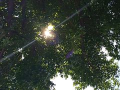 -神光山国家森林公园