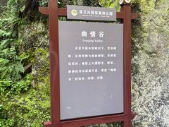 -茅兰沟国家森林公园