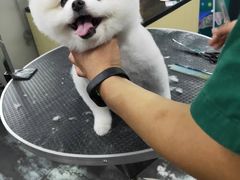 -美联众合动物医院(唯恩分院)