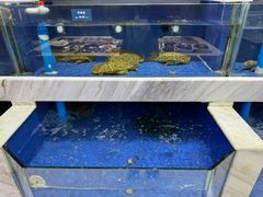 -海景苑海鲜大酒店(吕四店)