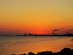 -上海吴淞炮台湾国家湿地公园