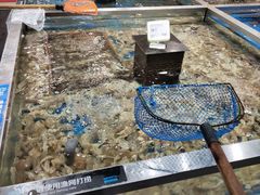 -盒马鲜生(昆城店)
