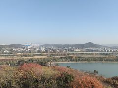 -羊山湖公园
