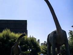 -安徽省地质博物馆