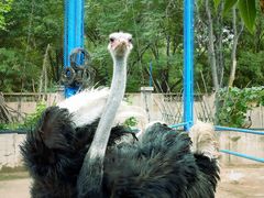 -森林公园(尖草坪区)