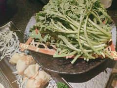 -湊湊火锅·茶憩(打浦桥日月光店)