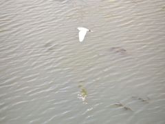 -方山风景区定林寺