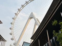 -金鸡湖景区