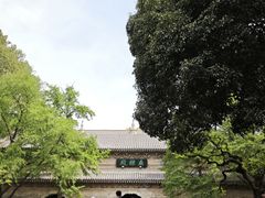 -灵谷景区