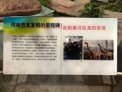 -河南自然博物馆