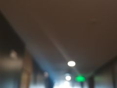 -南京钟山宾馆(江苏省会议中心)