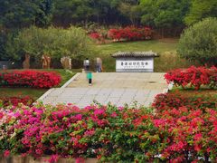 -深圳市中科院仙湖植物园