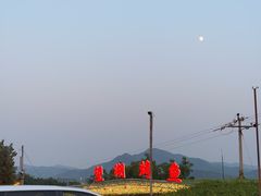 -望湖烤鱼
