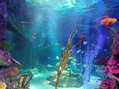 -沈阳海洋探索中心