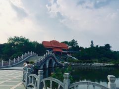 -大屏嶂森林公园