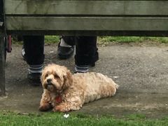 -Takapuna Beach Cafe